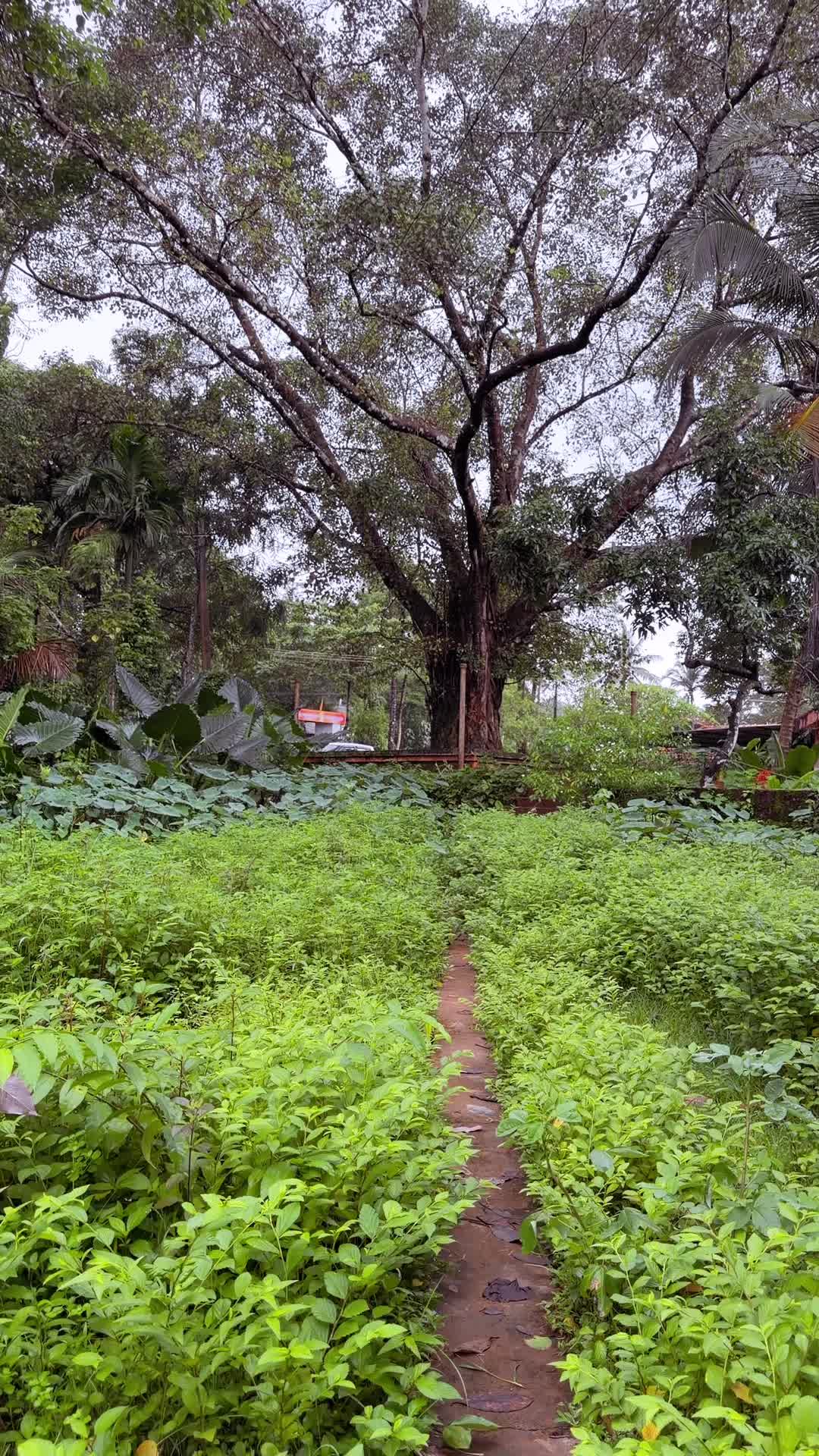@Dileep PP