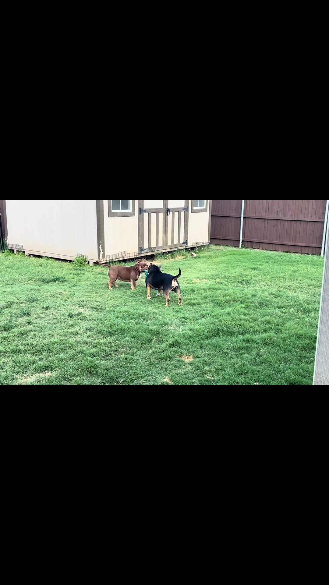 @Scooterzbullyz LLC