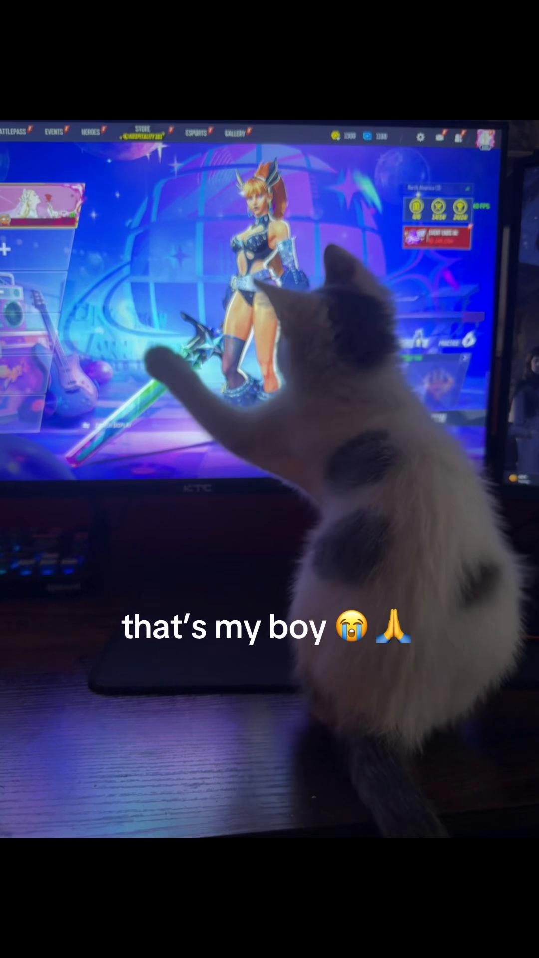 @𝐭𝐰𝐢𝐭𝐜𝐡 𝐜𝐡𝐤𝐧_𝟗𝟗𝟗