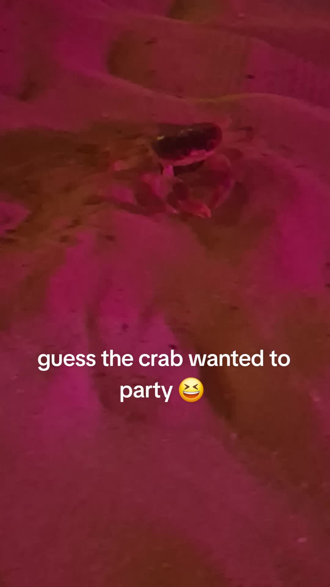 @🦞WindyLob🦞