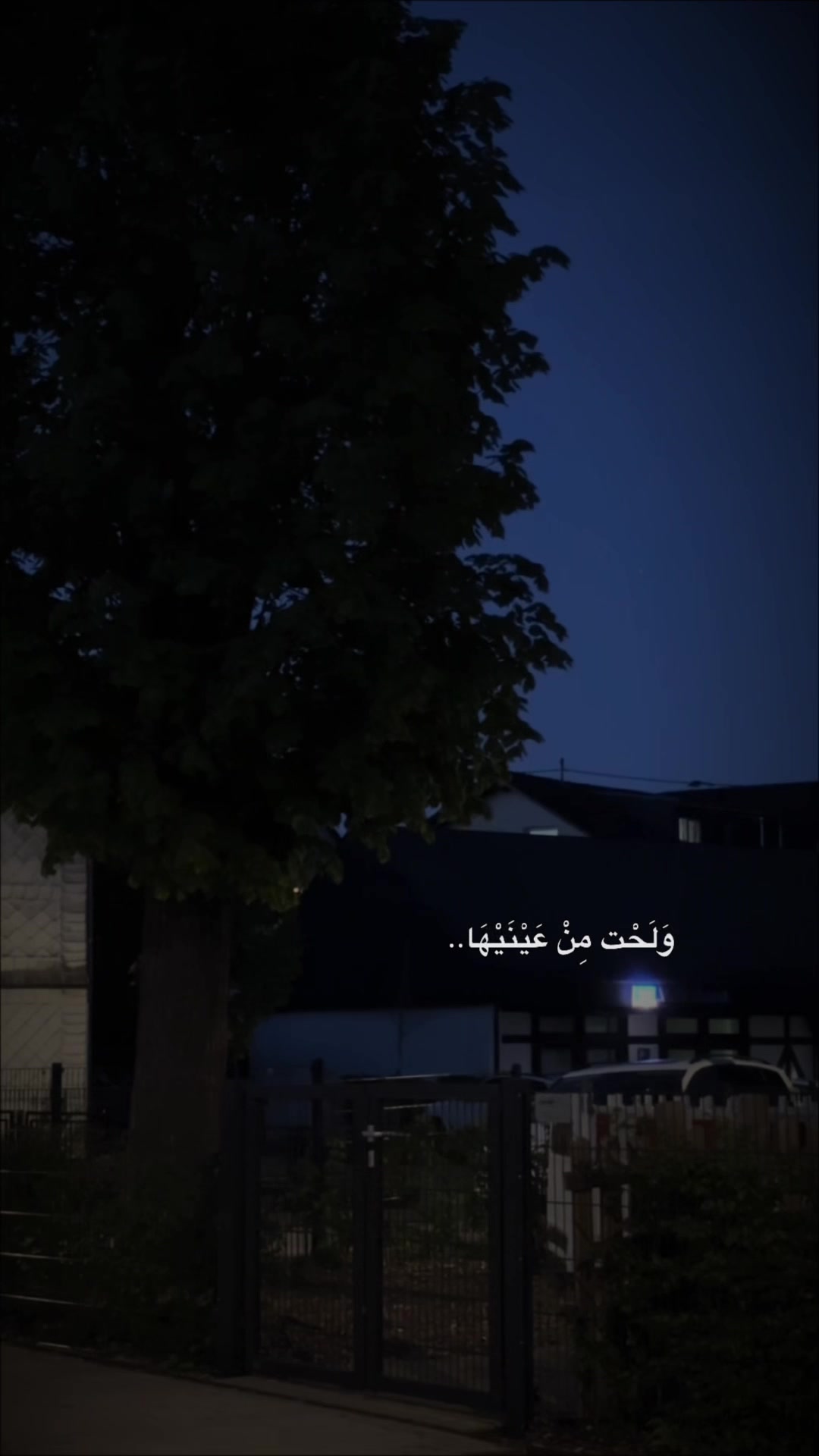 @ɴᴇʀᴠɪɴ|🫀