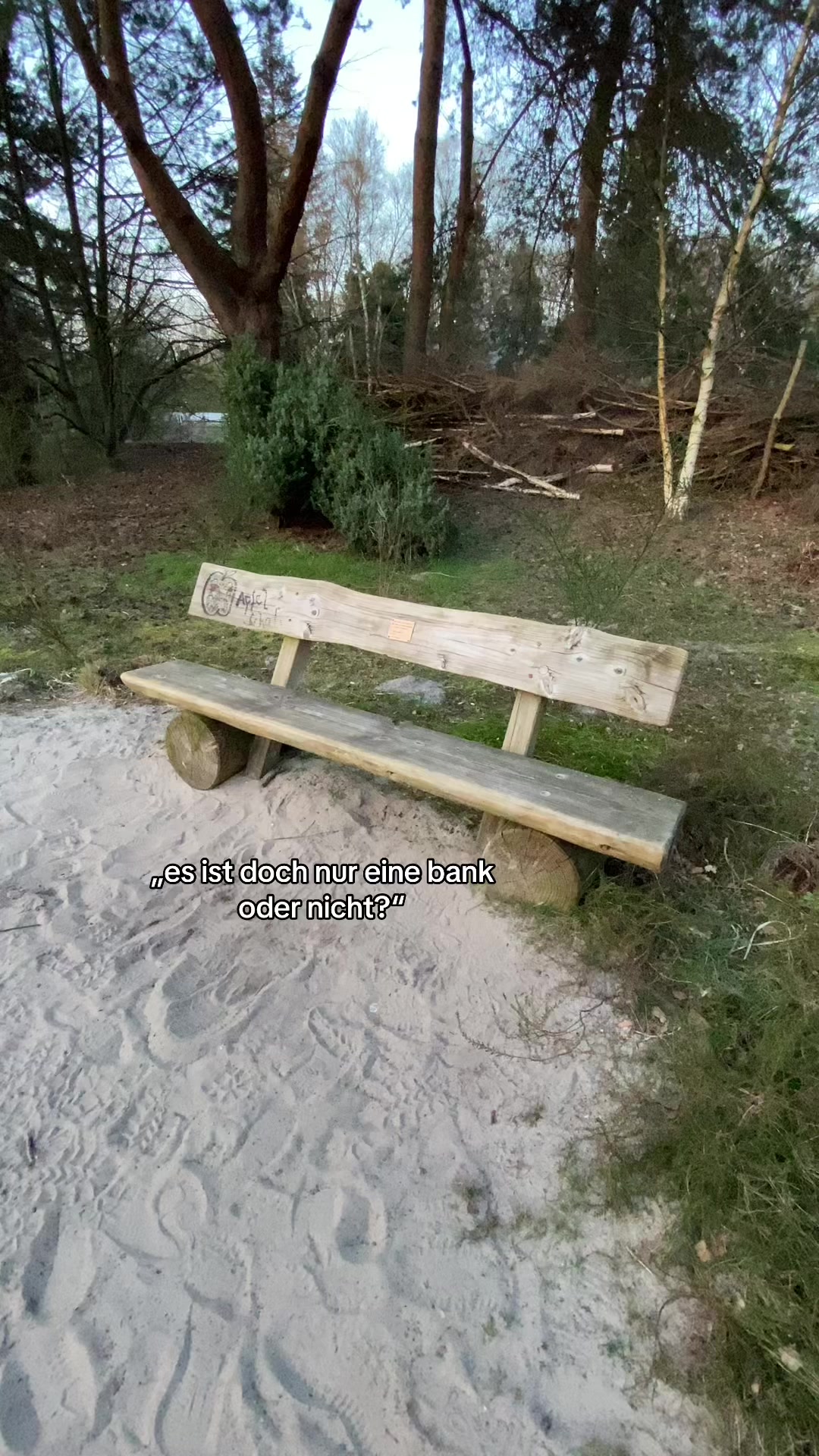 @luischnsi