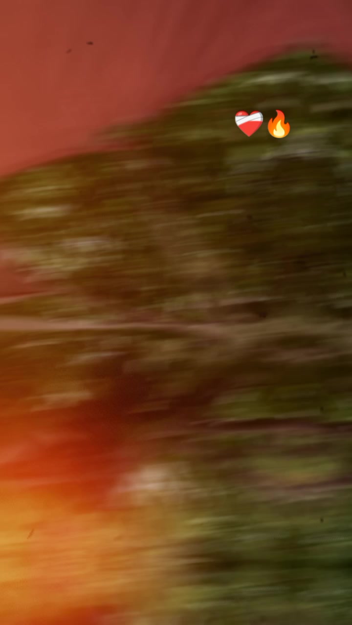@sarkar 786🤟♥️🤟