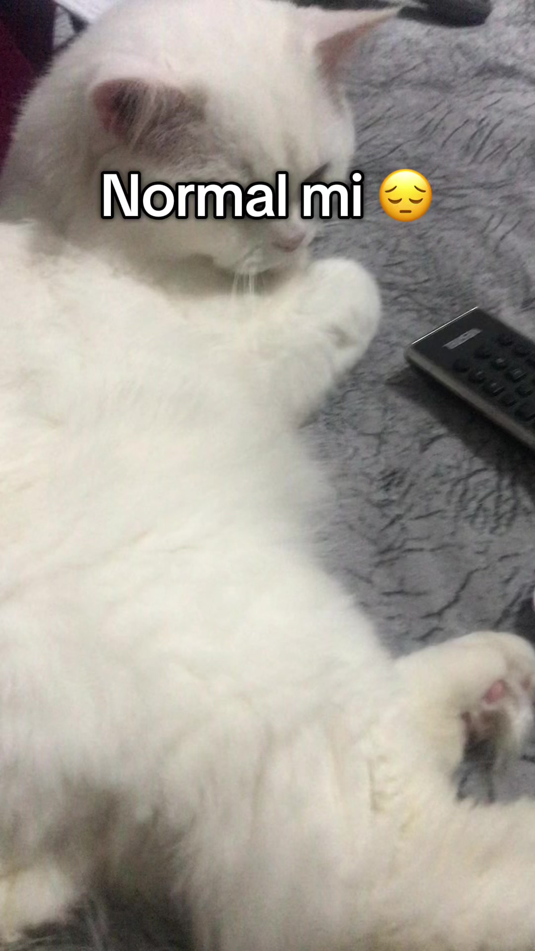 @Neşe
