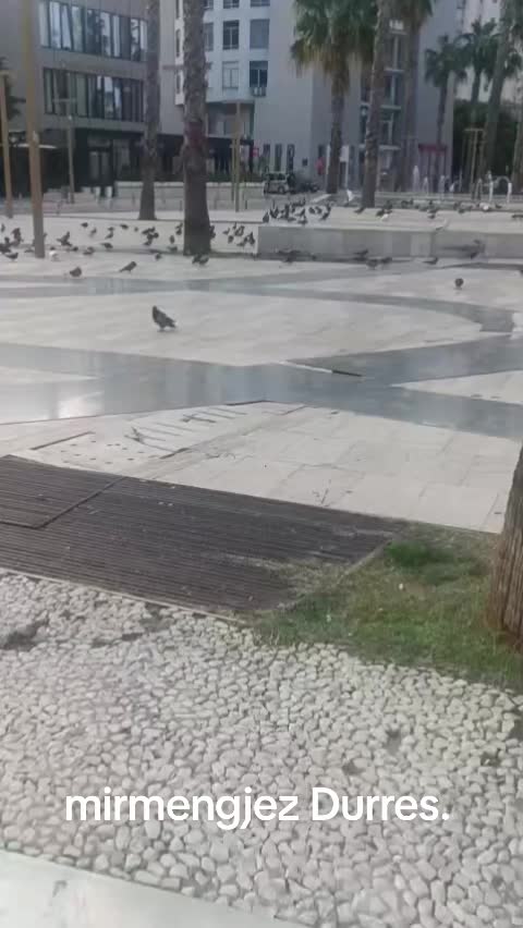 @user4310801871870