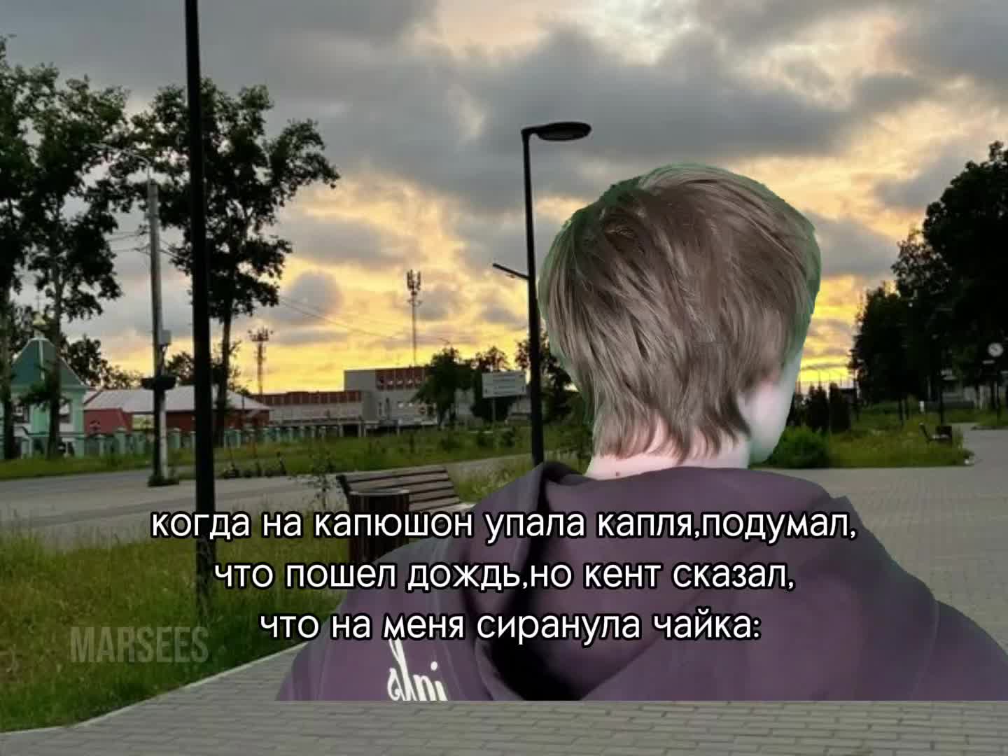 @Marsees