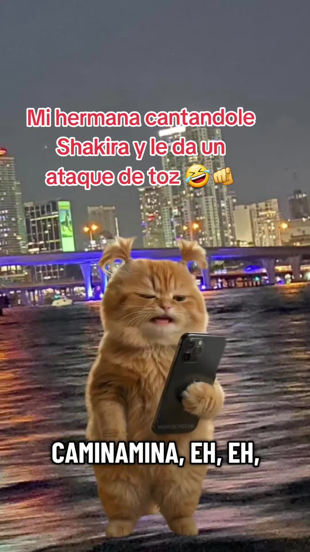 @Gabrielito 502