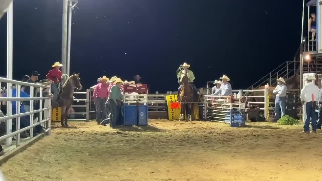 @scottdailyhorsetraining