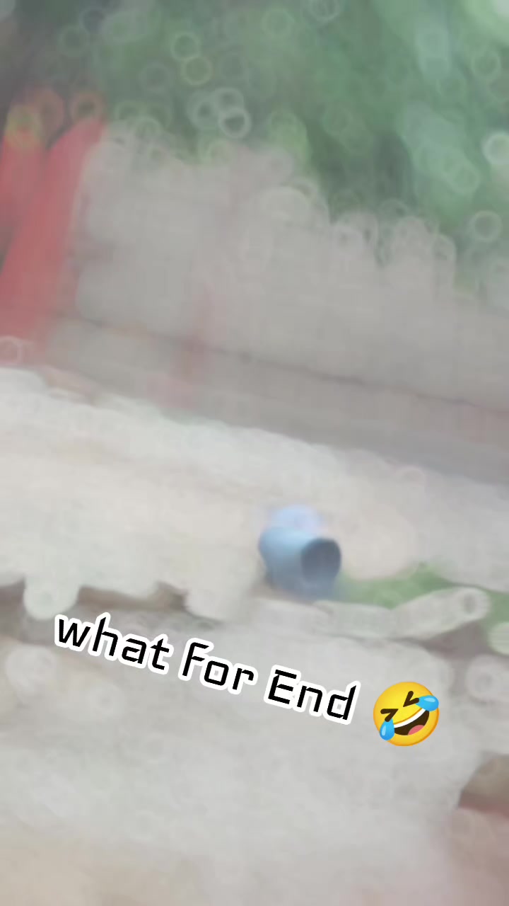@sultanshaikh613