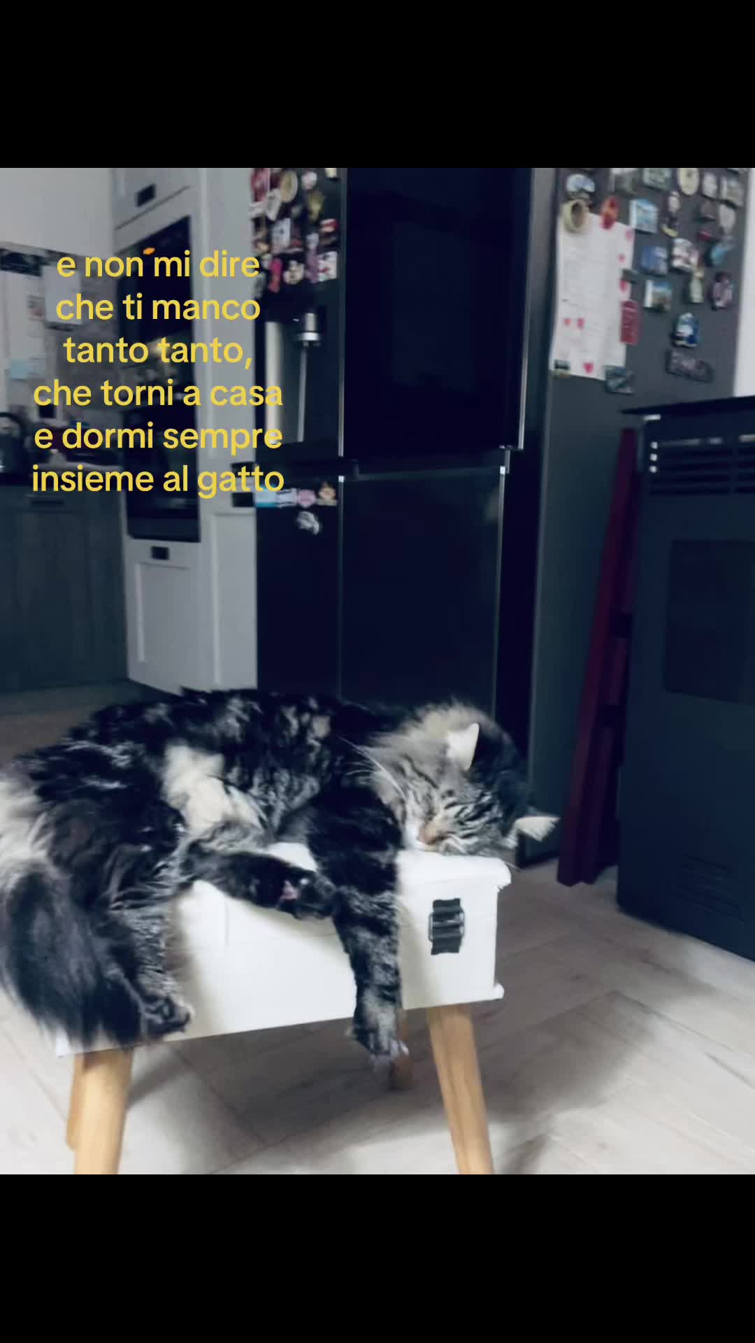 @lotta