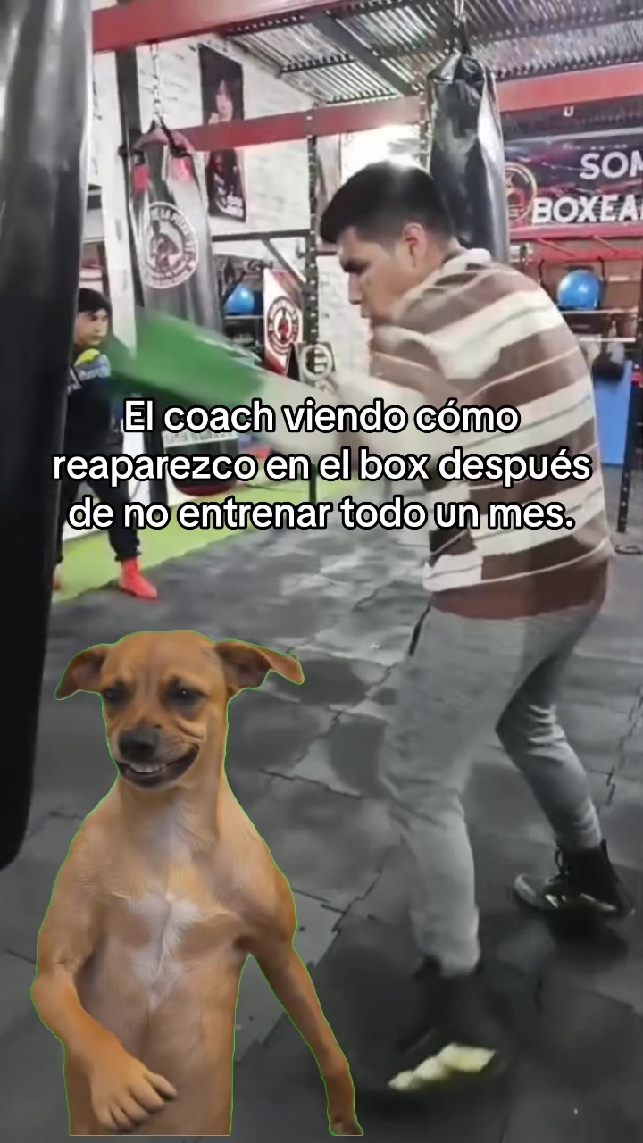 @Boxeo en Cuenca
