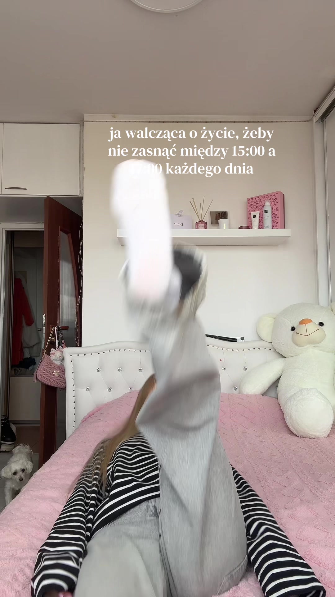 @kamczi🎀