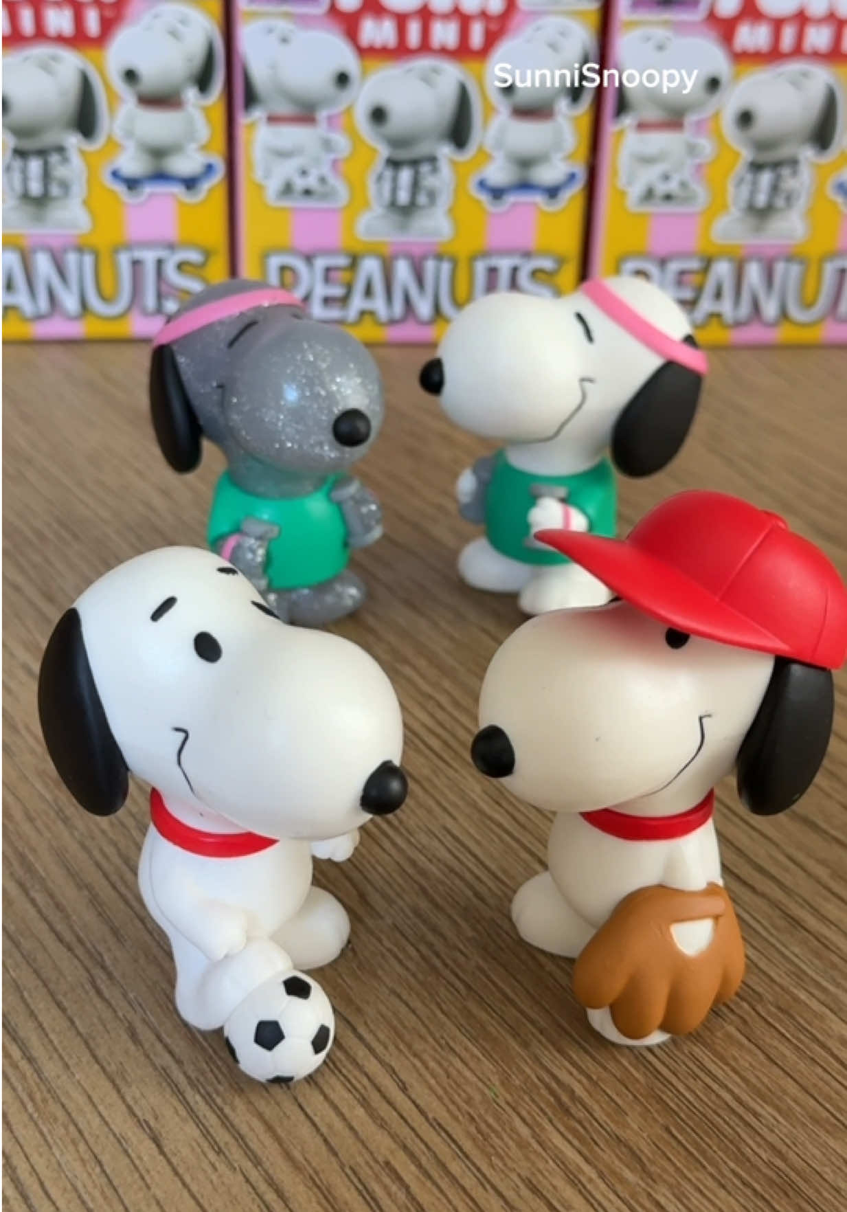 @SunniSnoopy | PEANUTS