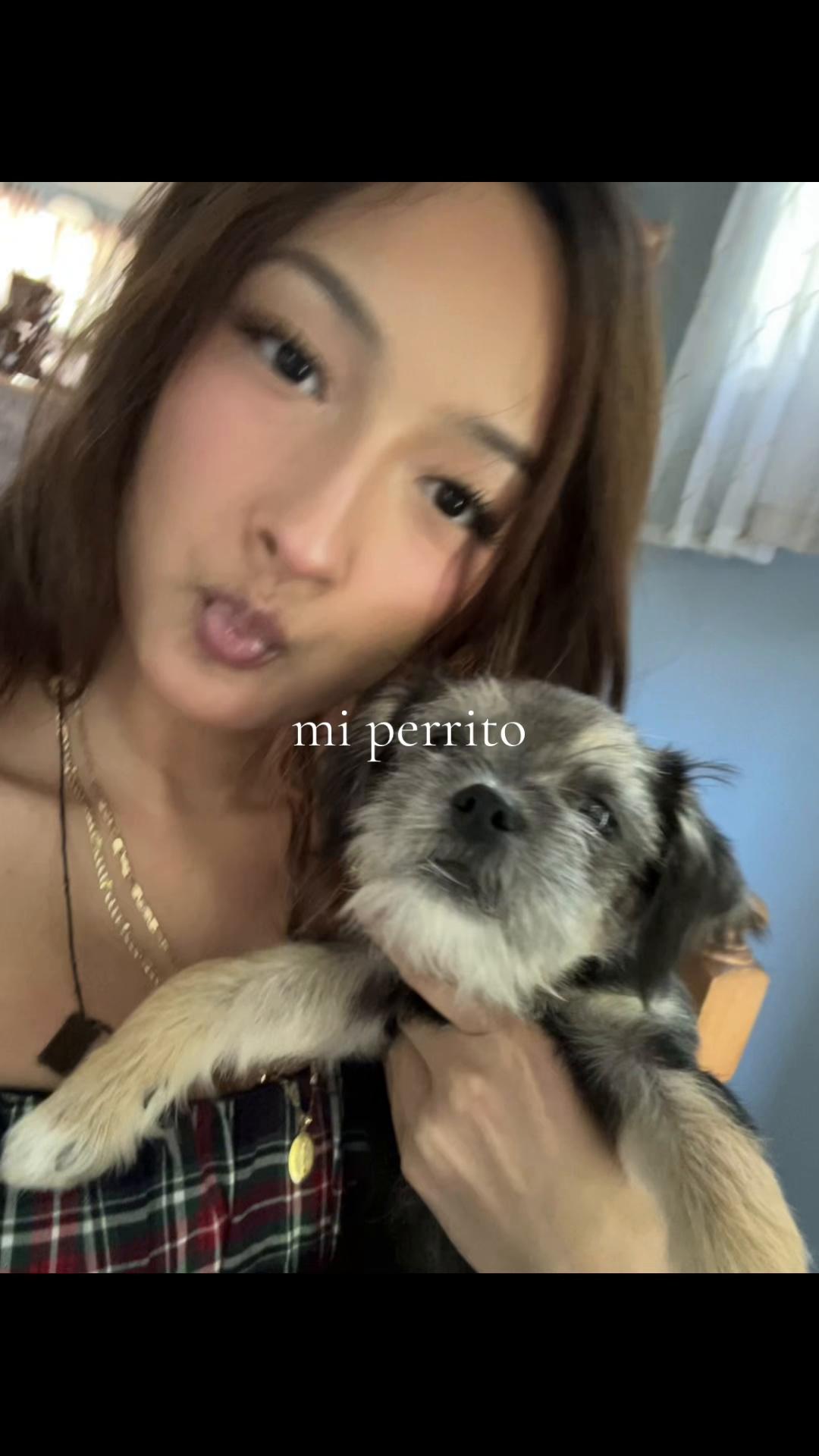 @brissia౨ৎ