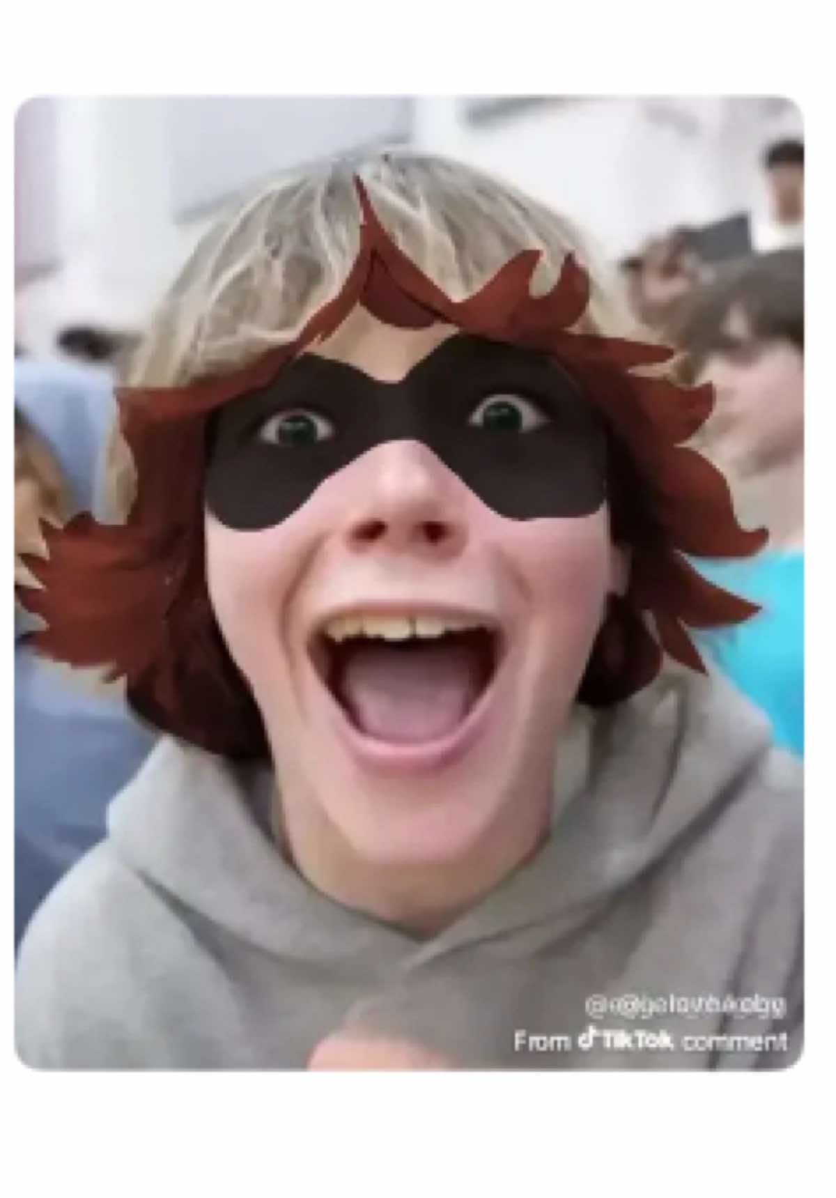 @skibizumi
