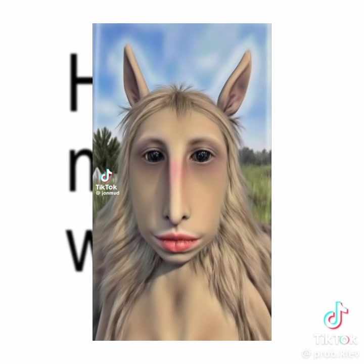 @bkdkcats