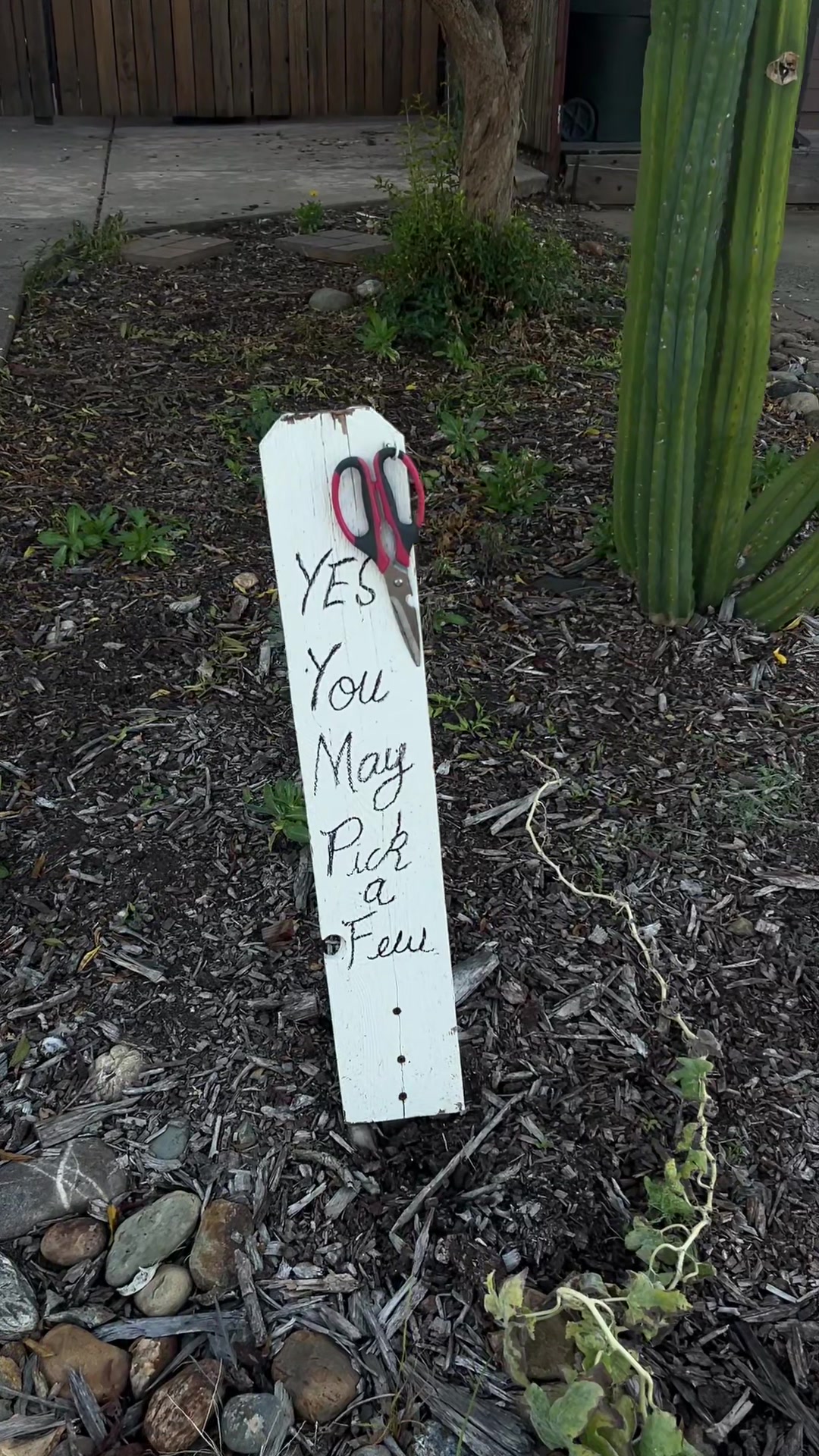 @susan