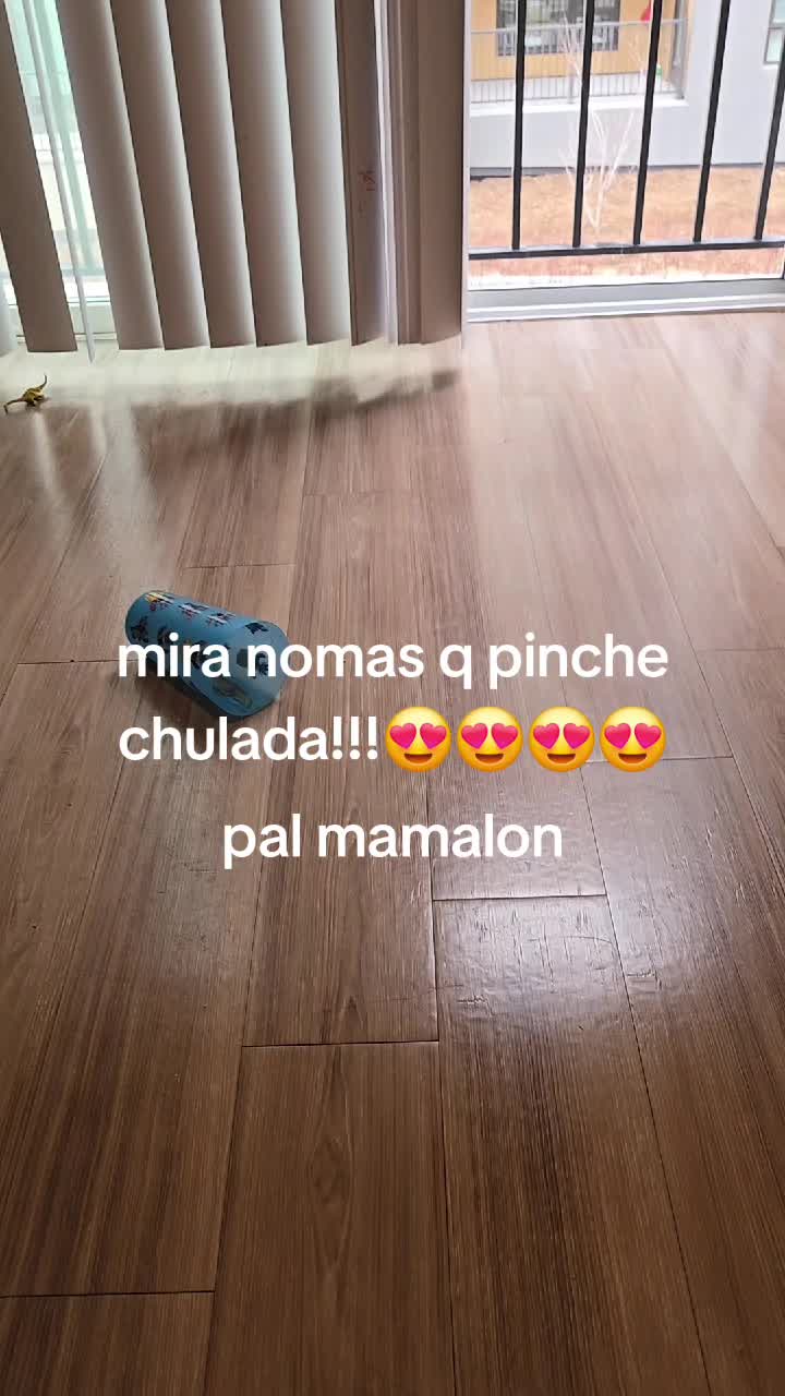 @scar sotelini