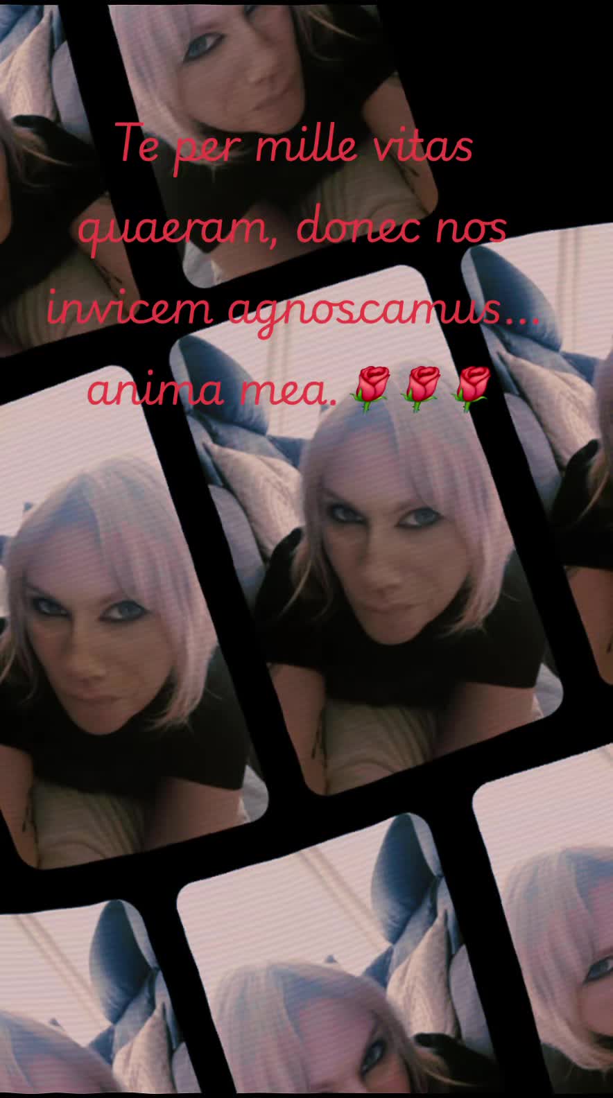 @Vivi_lilith