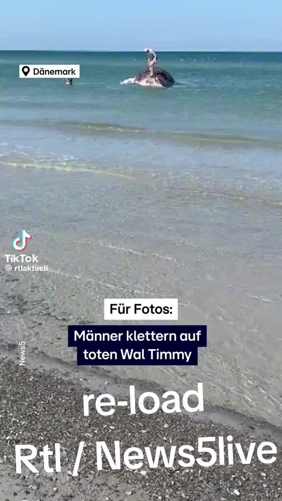 @✌𝓗𝓸𝓷𝓮𝔂 ~𝓢𝓬𝓱𝓷𝓪𝓽𝓽𝔂✌