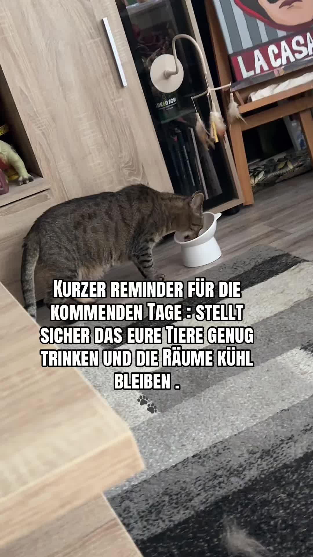 @LouisDerTypische.