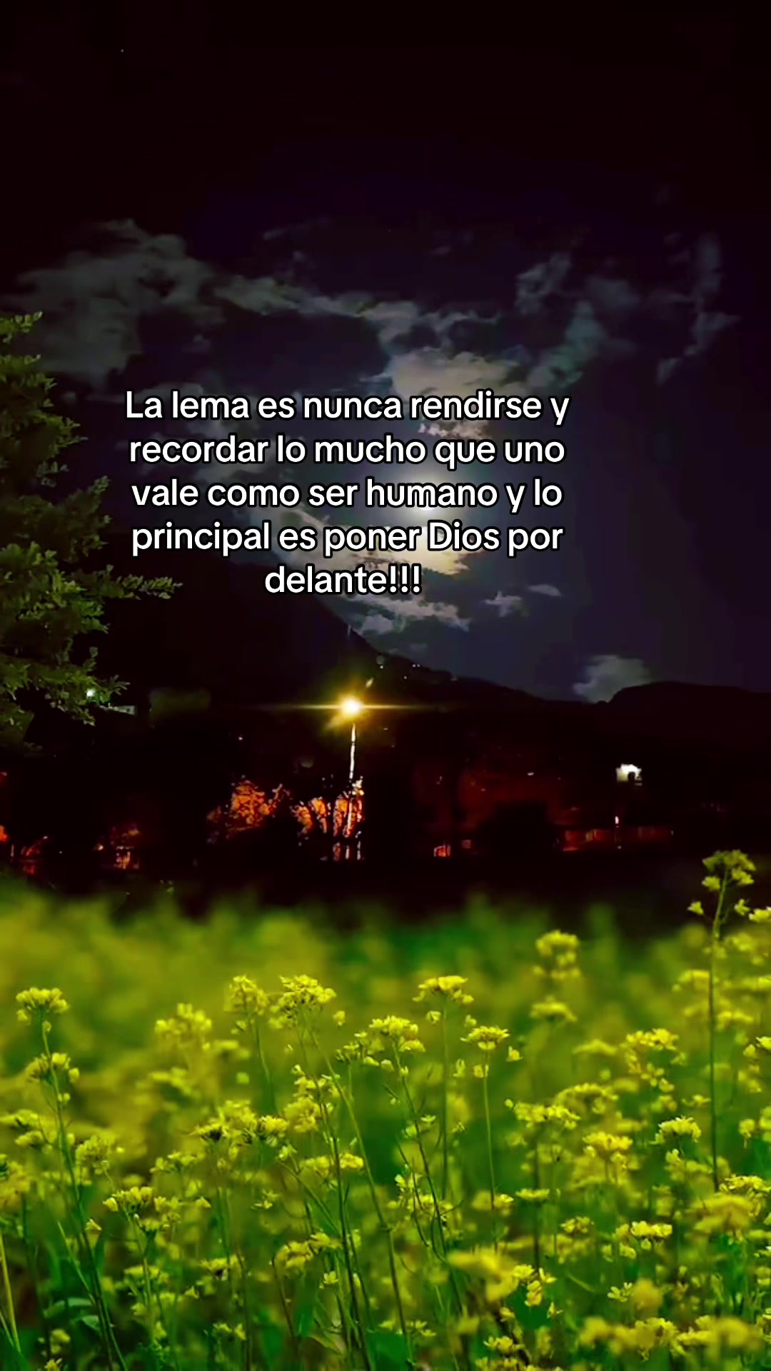 @Lucy Reyes