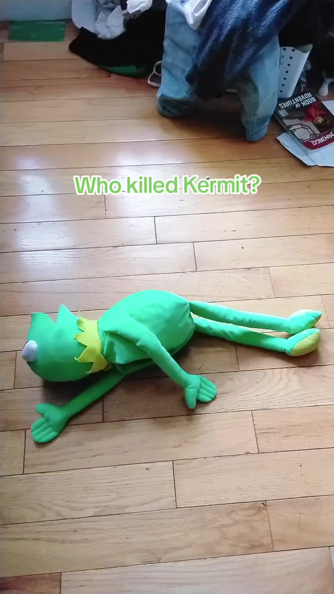 @Kermit And Friends 2026