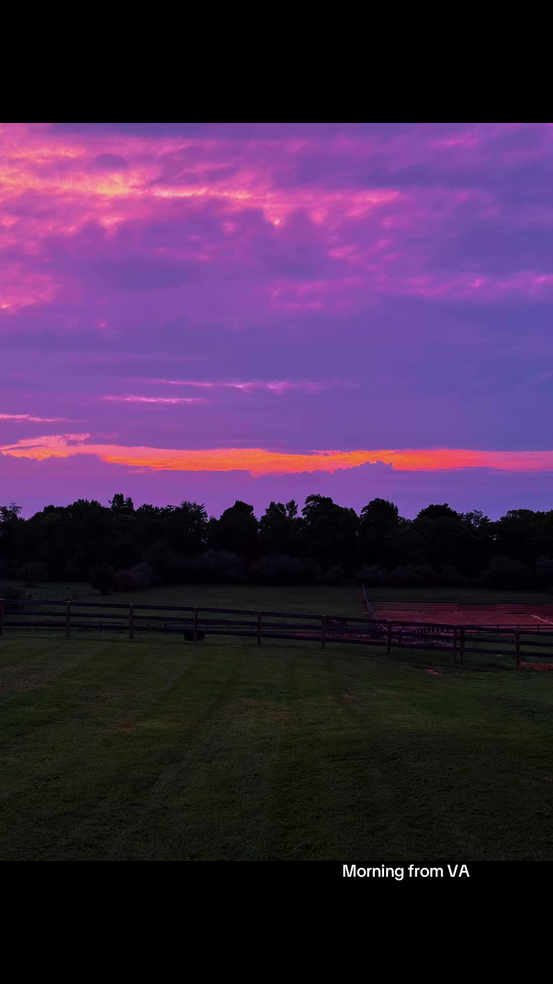 @Danigurl🦮🏇🌅