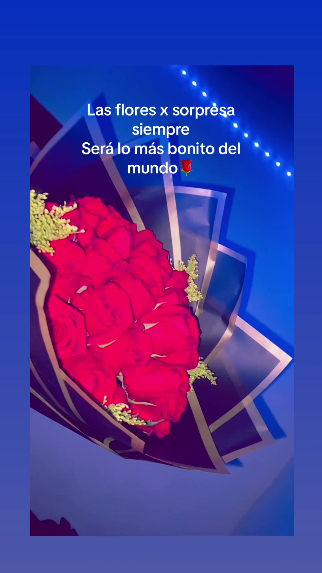 @vanegas640