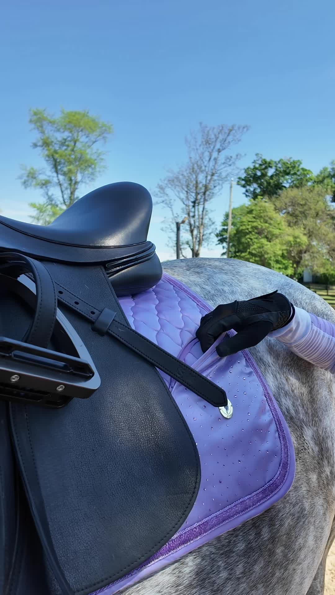 @Sync Equestrian