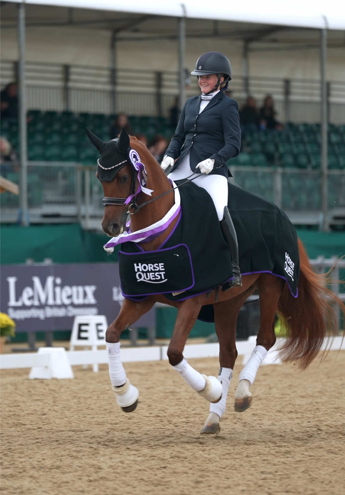 @HorseQuest - Horses for Sale
