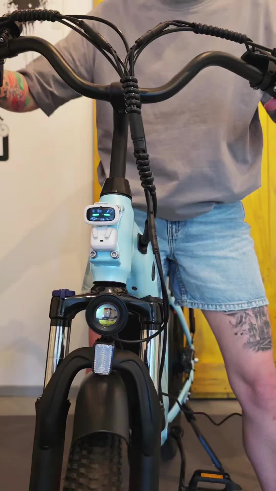 @Living with Robots