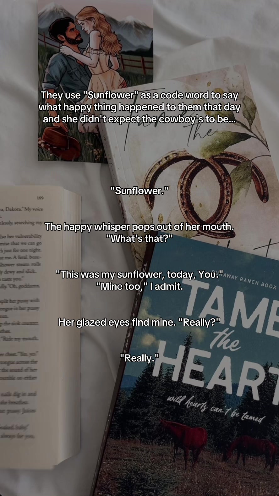 @Author Ava Hunter
