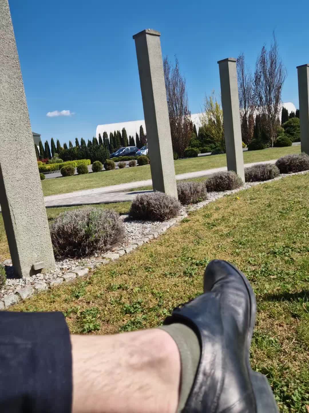 @seszunia