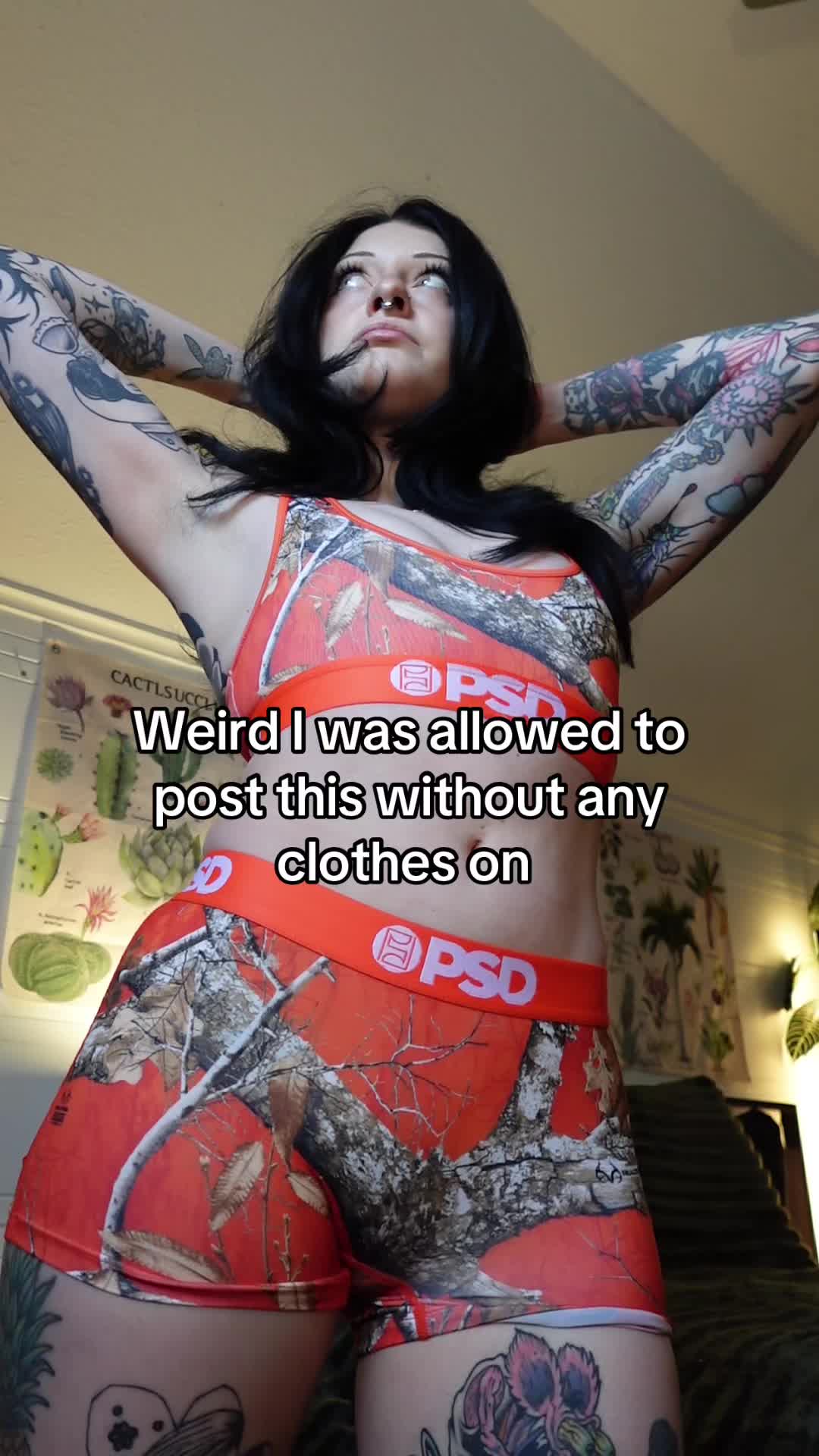 @SweetAries