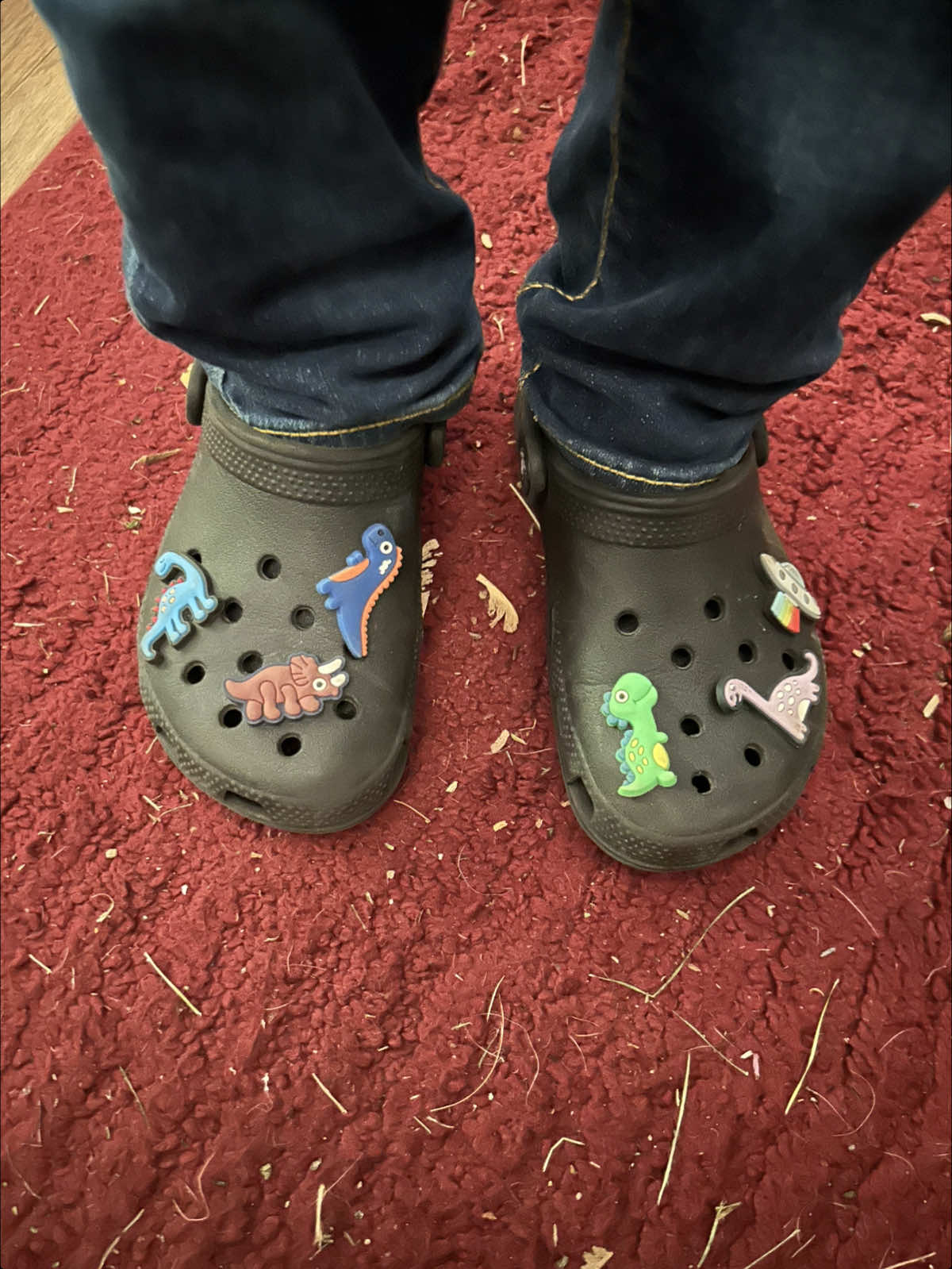 @Ana🦕