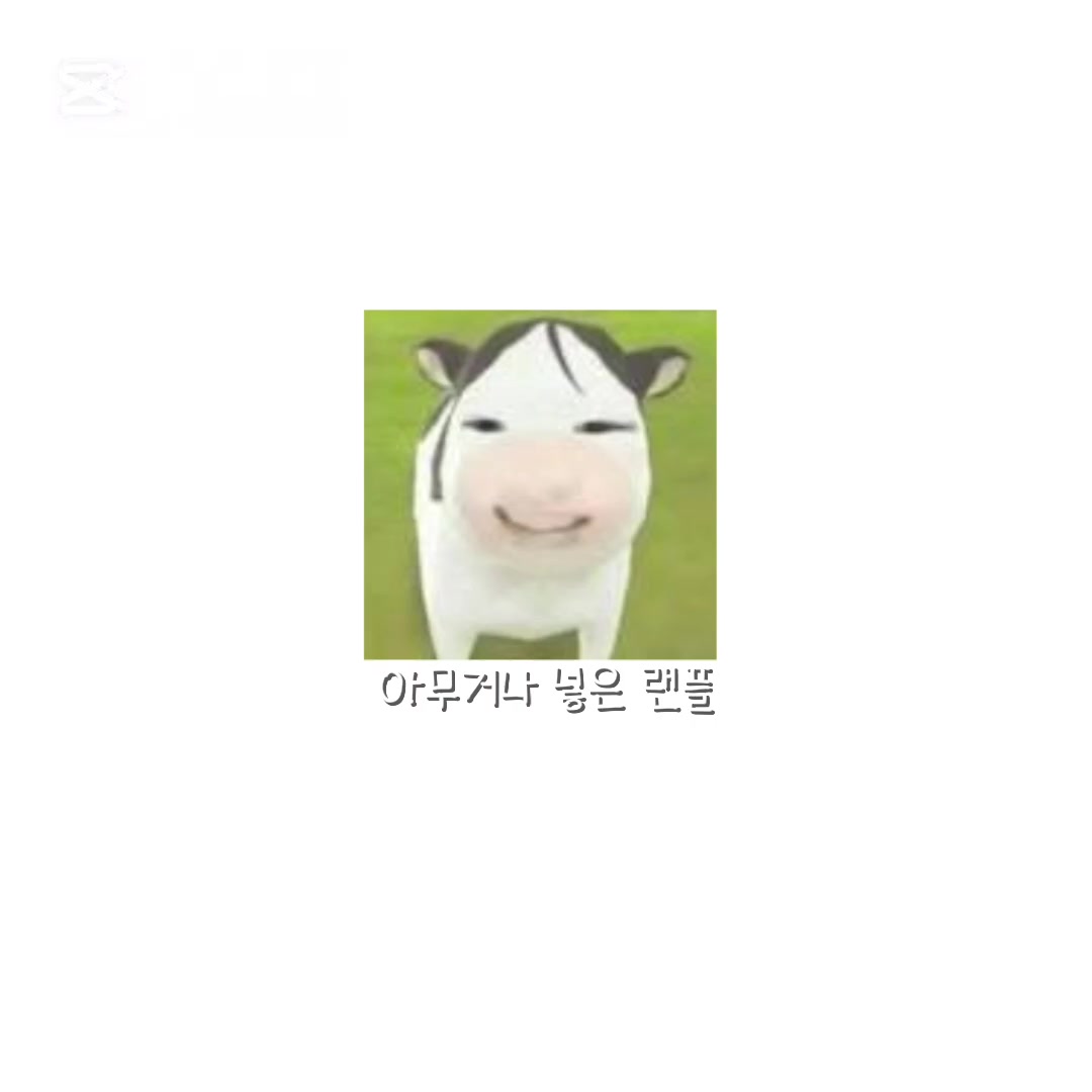 @썩은 밤티 송이♥︎