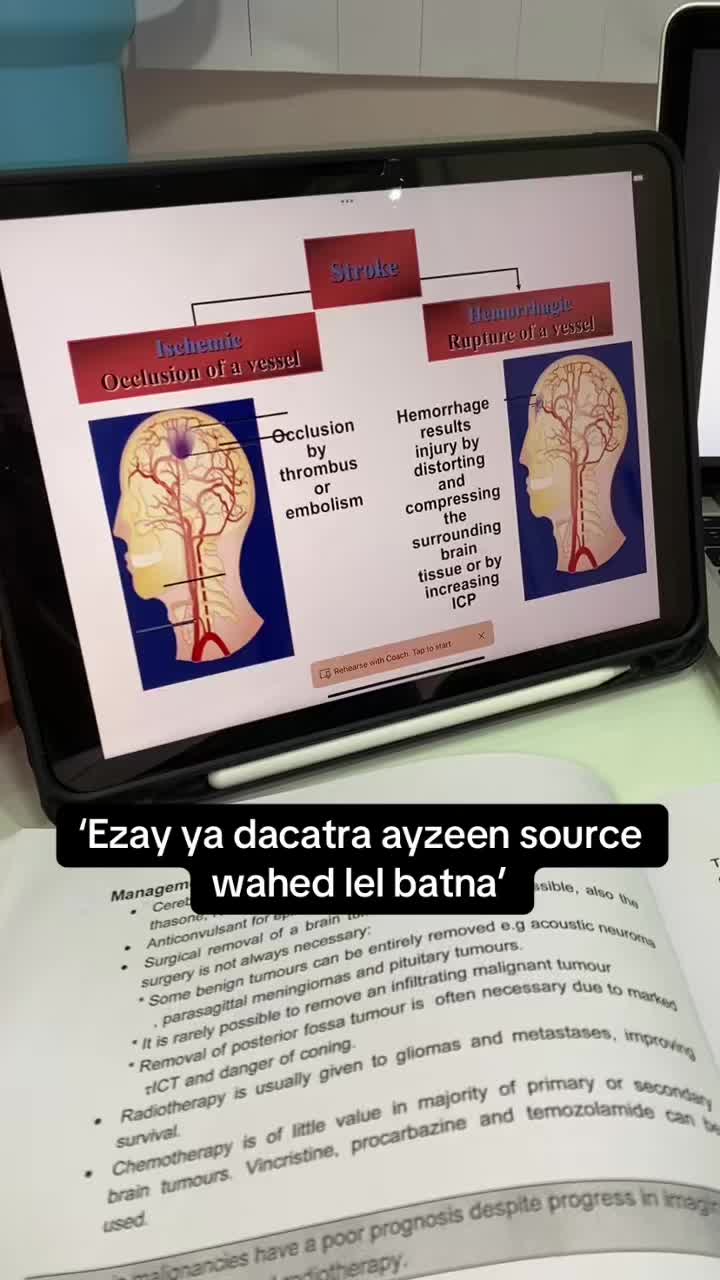 @Nesma Ayman