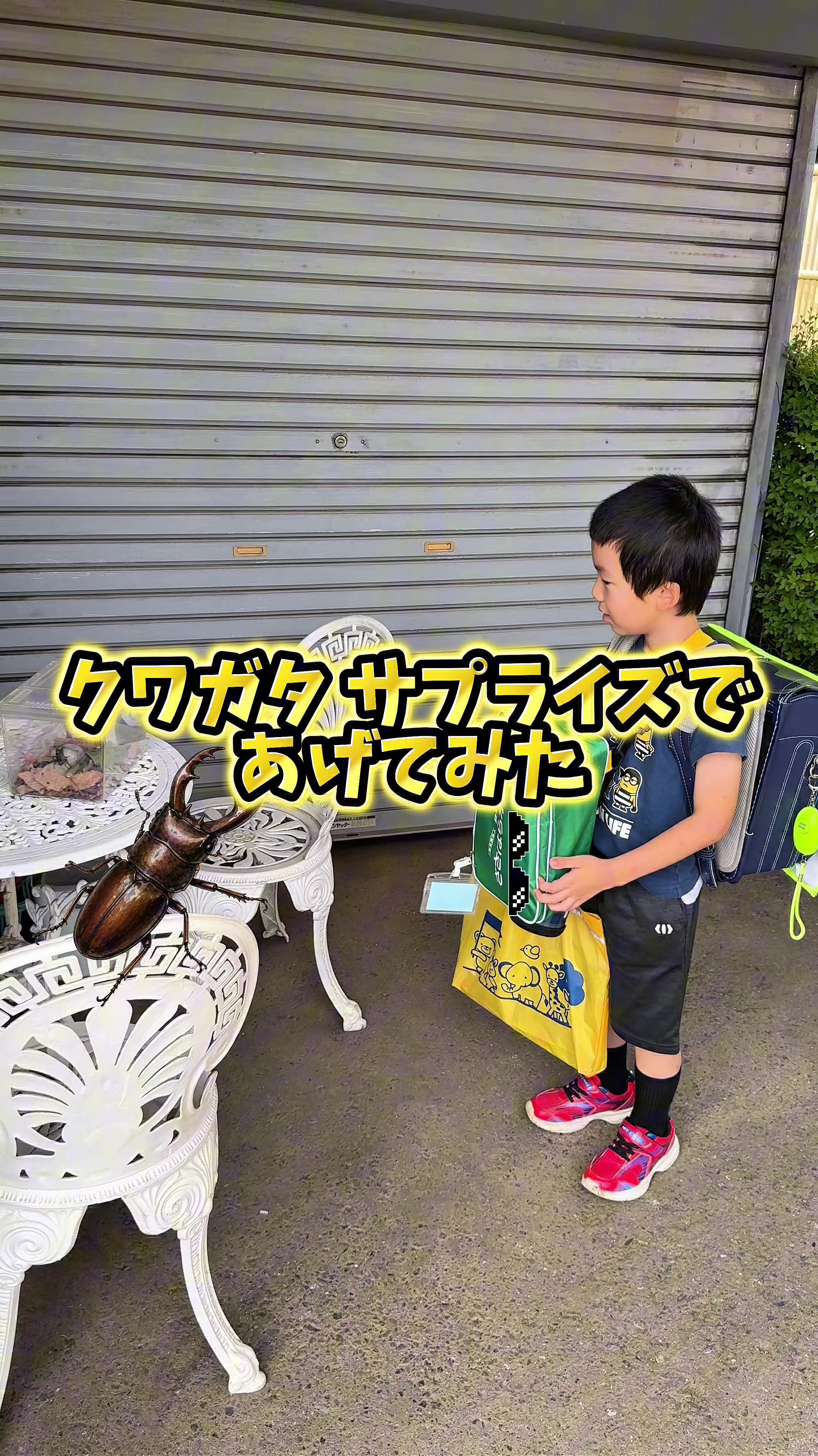 @コスプレ彼女のいる生活