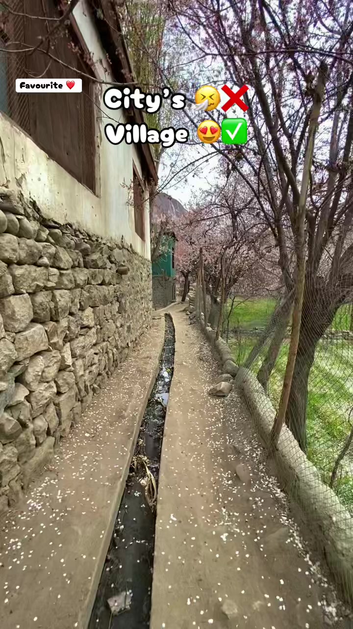 @𝙕𝙚𝙨𝙝𝙖𝙣 𝙂𝙖𝙡𝙡𝙚𝙧𝙮🏔️