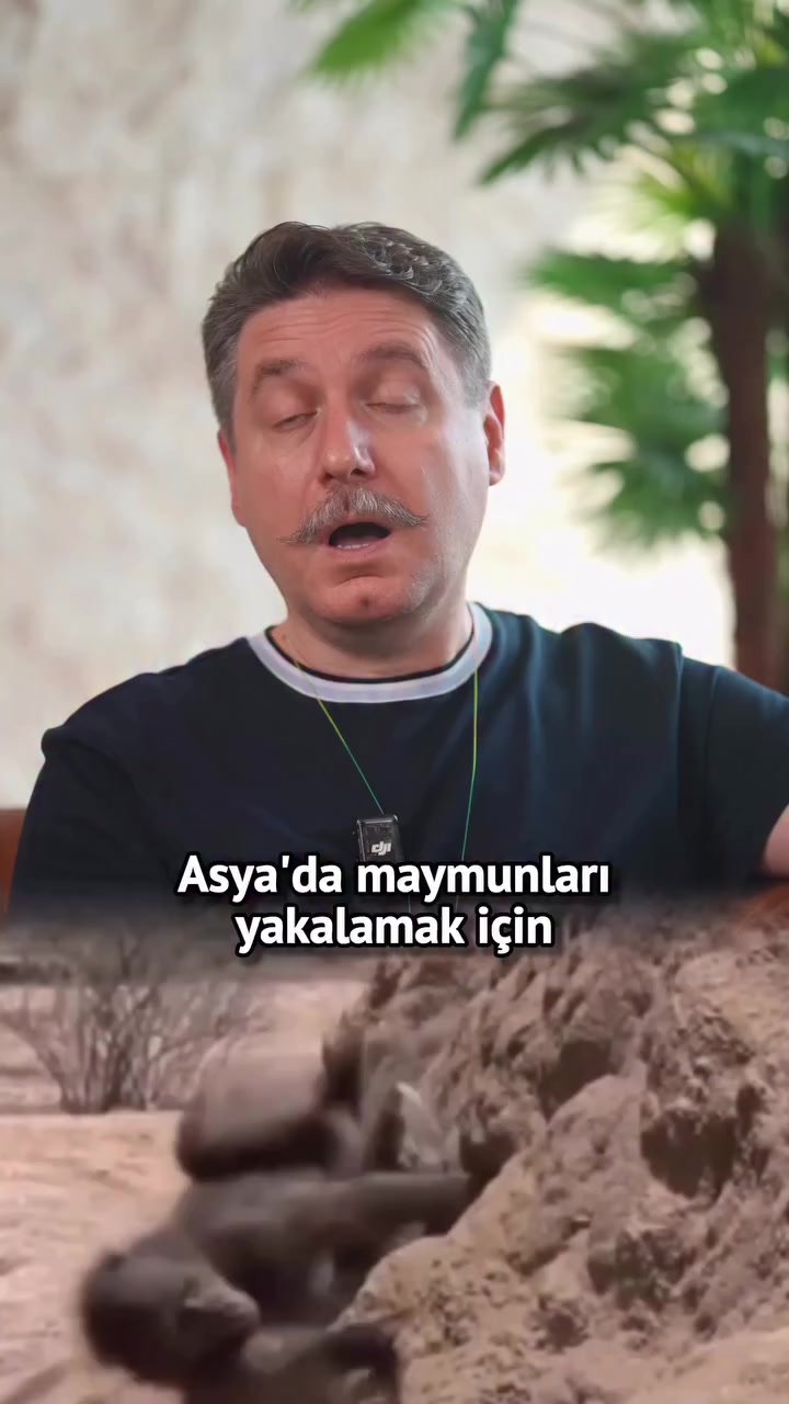 @AdANALı_01