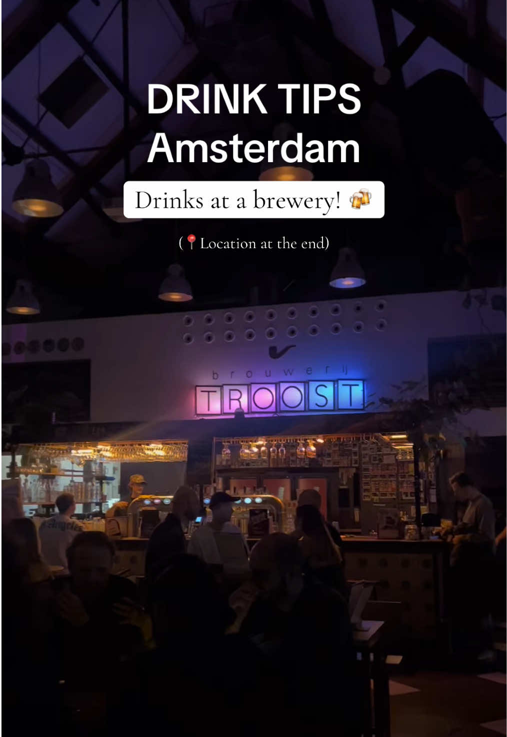 @gotoguide.amsterdam