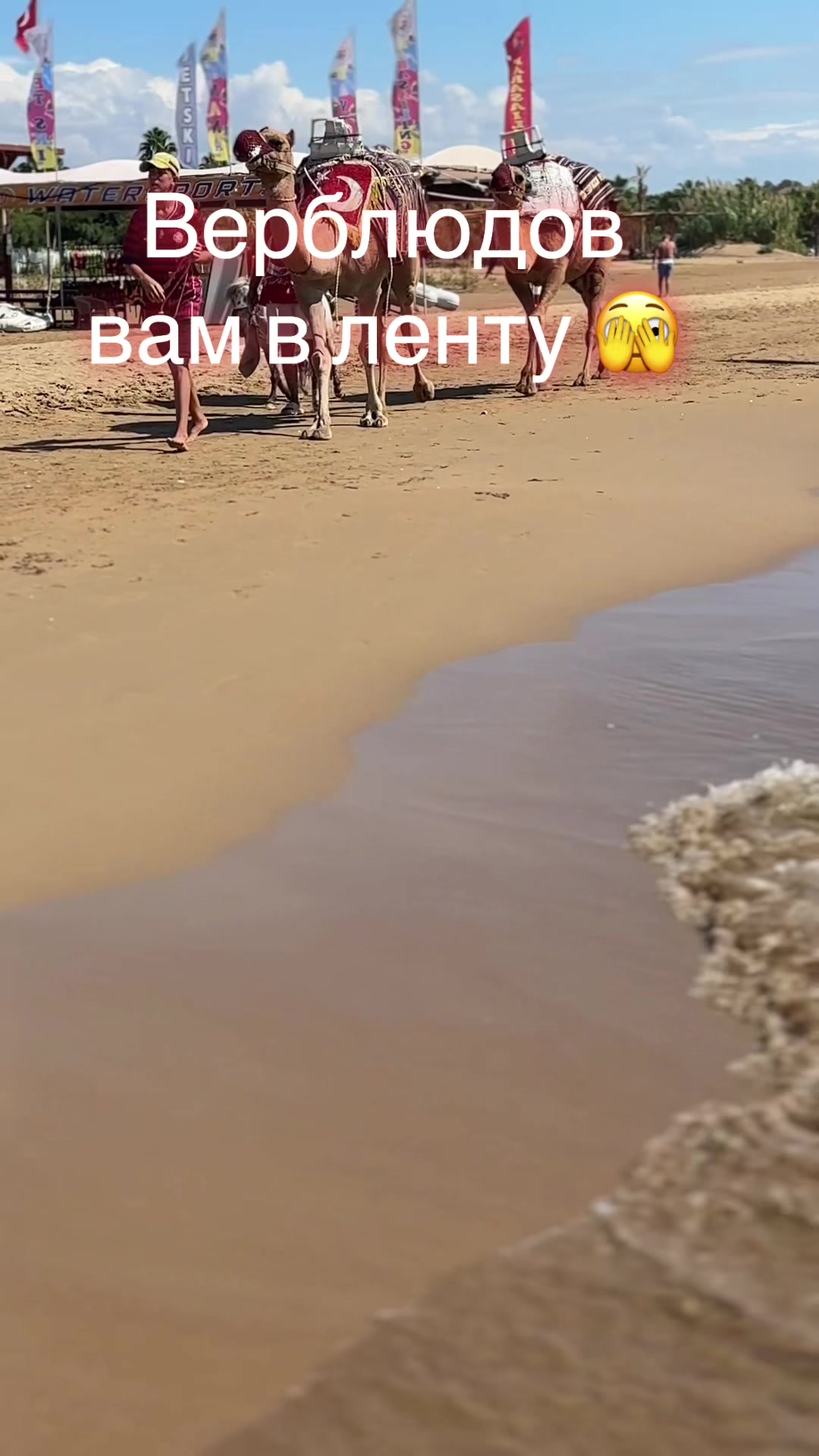 @olga