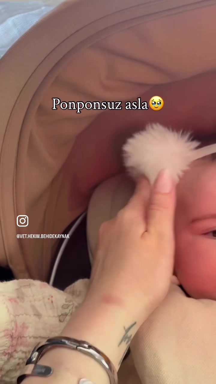 @vet.Behide