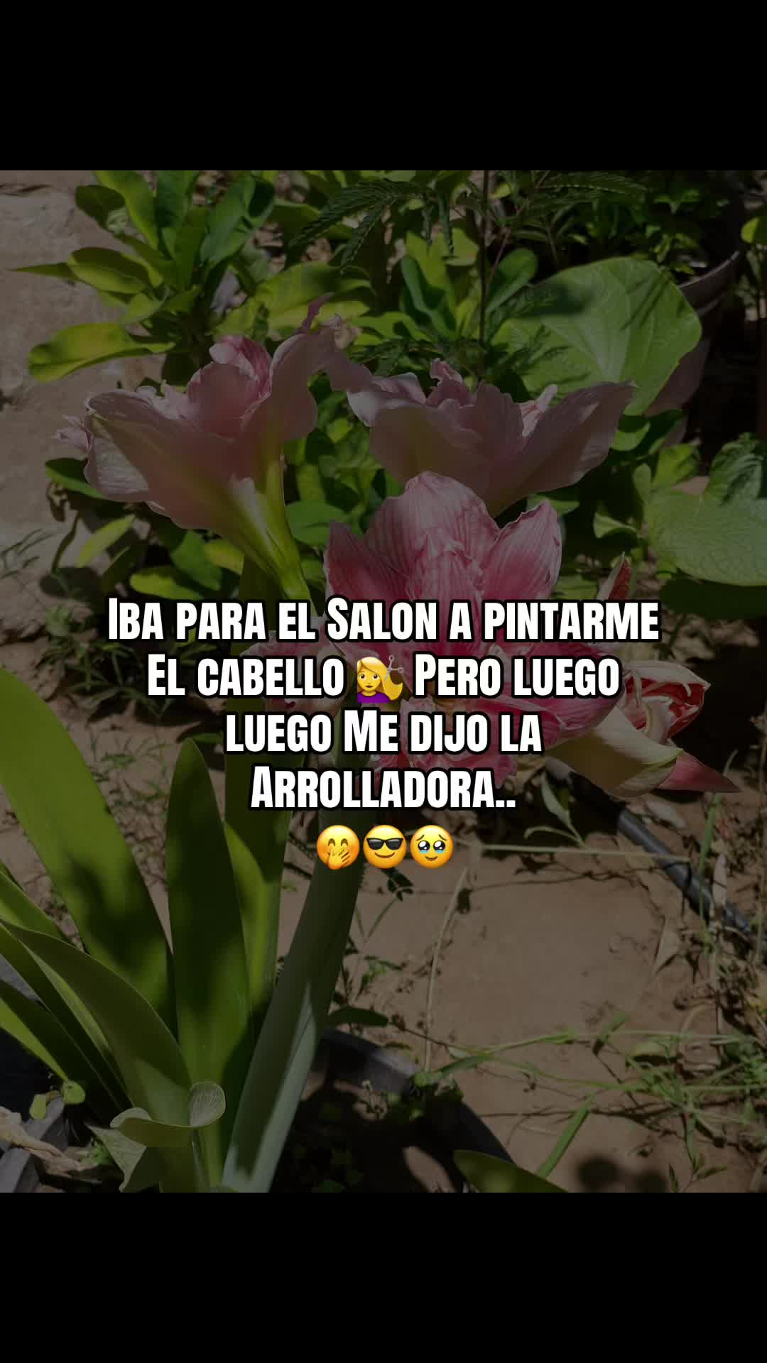 @🇲🇽 la Natali 🦋