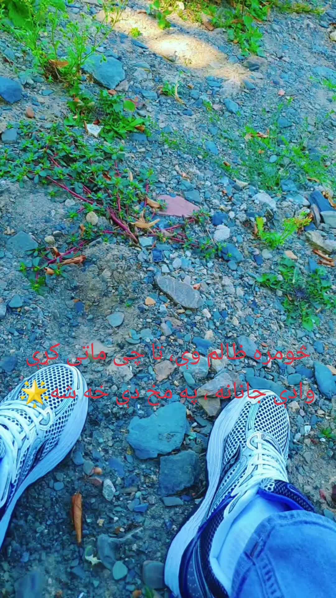 @Zargar🌹