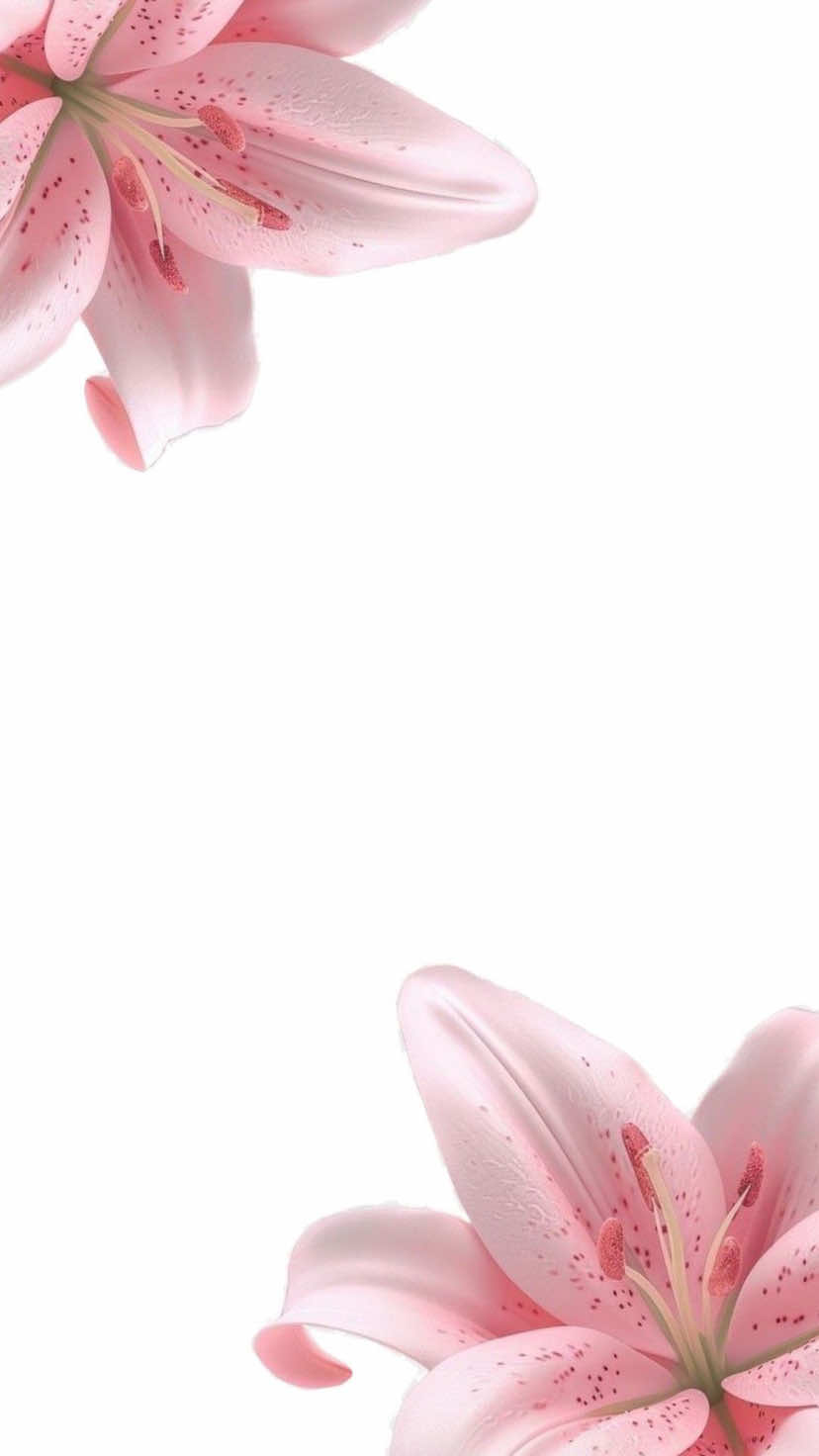 @— 𝒱𝖼𝗌 ! ✿