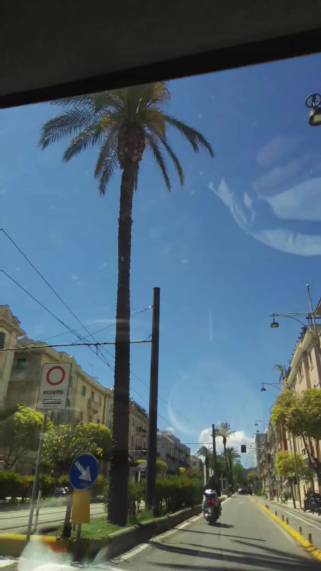 @AcetoSara AcetoSara
