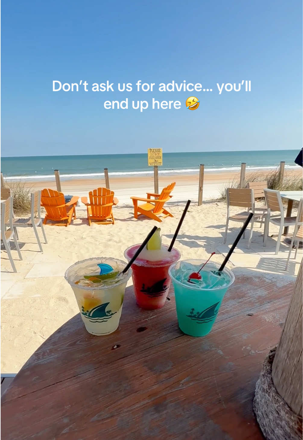 @LandShark Bar & Grill