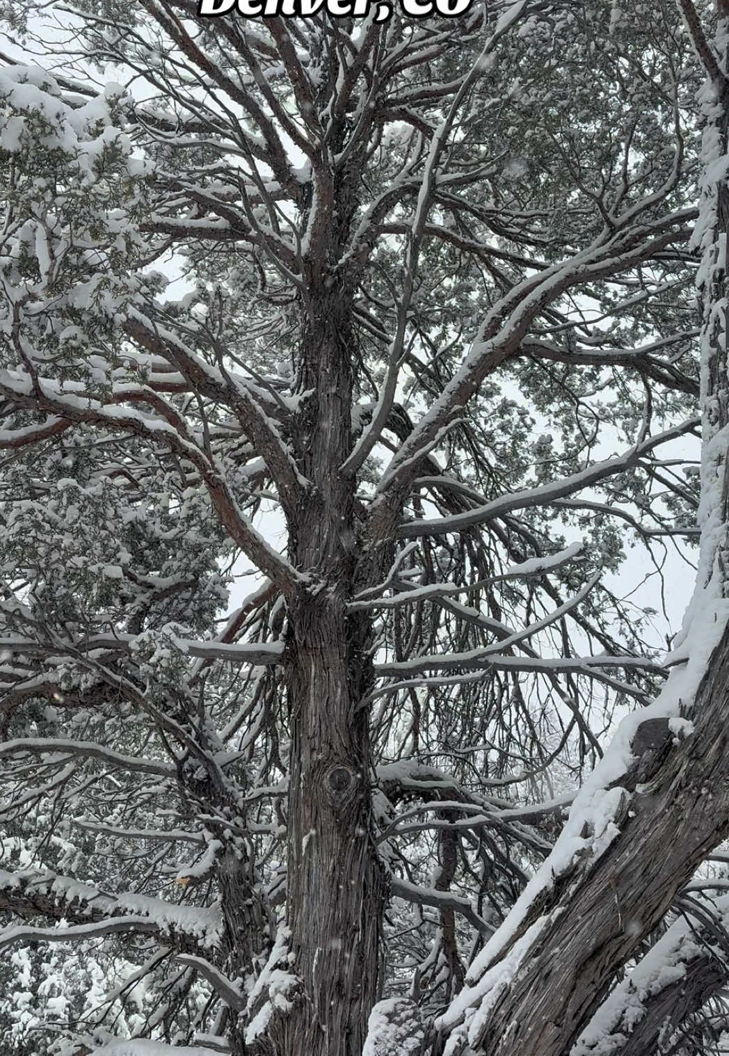 @Nat in Colorado